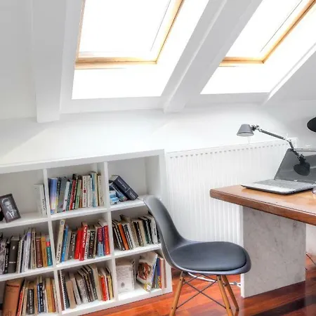 Birds View 奥帕提亚