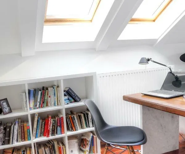 Birds View אופטיה